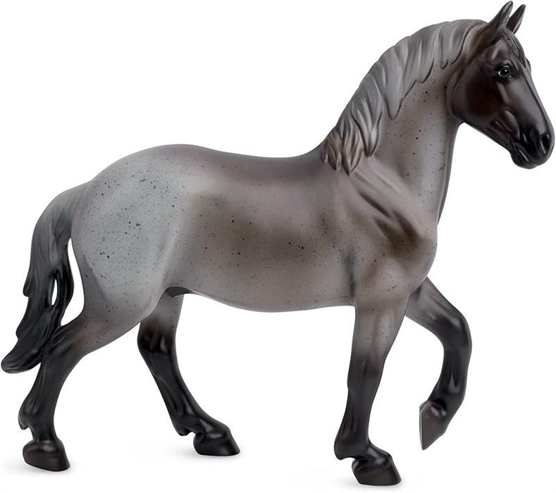 Native to Belgium, the Brabant is a large and powerful draft horse bred for farm work.