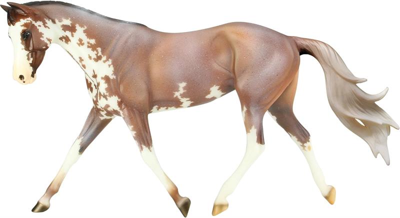 A wildly-colored Thoroughbred, Full Moon Rising began life as a racehorse. Retired sound after his second season on the track, his trainer sought a meaningful second career for him.