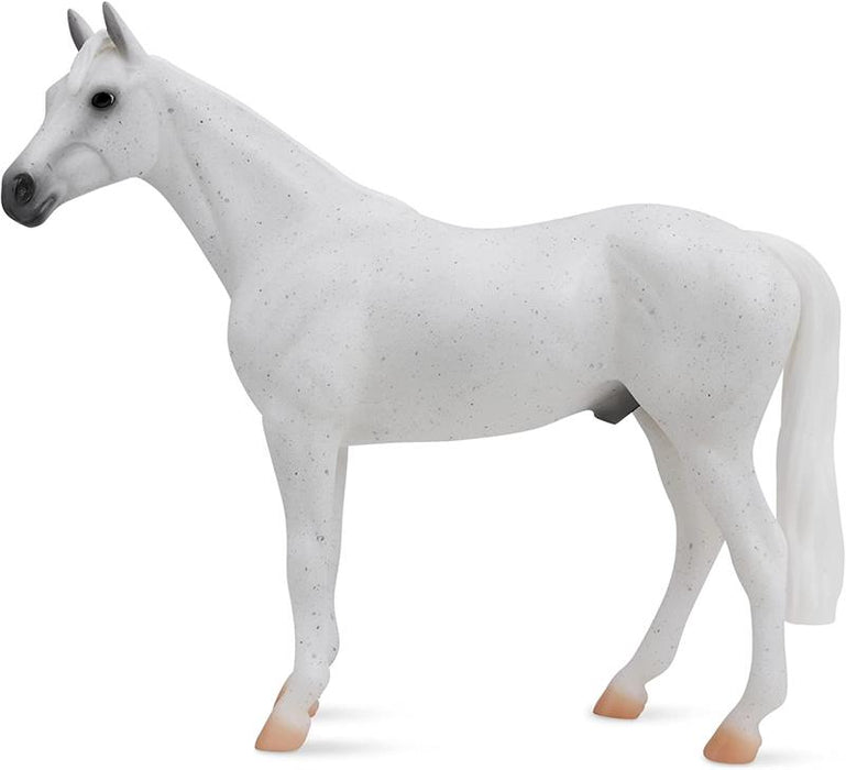 The athletic Thoroughbred is best known as a racehorse, but also excels in three-day eventing. Additionally, the Thoroughbred is known for having agility, grace, speed, stamina, and courage
