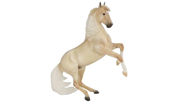 Cloud, a palomino Mustang whose life was chronicled in the 2001 Nature documentary Cloud: Wild Stallion of the Rockies, was born in the Pryor Mountains of Montana on May 29, 1995