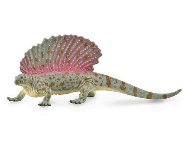 The Edaphosaurus was an herbivorous dinosaur from the Carboniferous period. The name means pavement lizard. It had a small head and a huge back sail with cross-bars that may have supported more fat and flesh than that of dimetrodon. It has been suggested