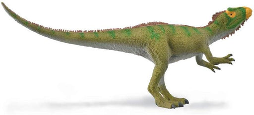 The Neovenator was a carnivorous dinosaur from the Lower Cretaceous period. At the time of its discovery on the Isle of Wight, United Kingdom, it was the best-known large carnivorous dinosaur. Its name means New Hunter.
