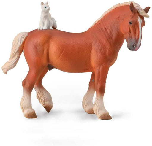 A draft horse is a large horse, bred to be a working animal doing hard tasks such as plowing and other farm labor. This one is even more special as it comes with its own cat!