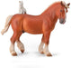 A draft horse is a large horse, bred to be a working animal doing hard tasks such as plowing and other farm labor. This one is even more special as it comes with its own cat!