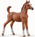 Though most Arabians have a natural tendency to cooperate with humans, when treated badly, they can become excessively nervous or anxious.