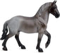 Native to Belgium, the Brabant is a large and powerful draft horse bred for farm work.
