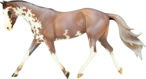 A wildly-colored Thoroughbred, Full Moon Rising began life as a racehorse. Retired sound after his second season on the track, his trainer sought a meaningful second career for him.