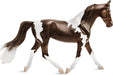 Beloved for their colorful coats, the Pinto is a versatile horse seen in almost every discipline. A pinto horse has a coat color that consists of large patches of white and any other color.