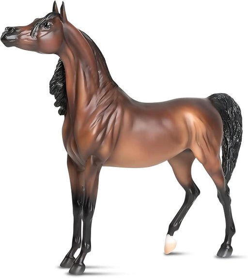 Presence is something that cannot be taught, but for those lucky enough to be born with it, that quality can take them far. Owned by Rae Dawn Arabians, 2013 mare RD Marciea Bey oozes personality and charisma in the show ring.