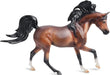 The Arabian is one of the world's oldest breeds of horse!