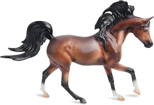 The Arabian is one of the world's oldest breeds of horse!