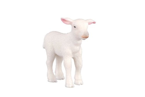Adorable white baby sheep
