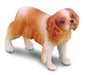 amed after Britain's King Charles II, the Cavalier King Charles Spaniel is a perfect companion for both adults and children. The 2.4''L x 1.6''H Cavalier King Charles Spaniel is just one of the many beautifully sculpted pieces in CollectA's Cats and Dogs 
