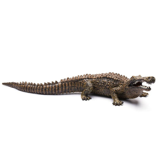 This beautifully sculpted, collectible figure from our Prehistoric Life Collection measures 7.3''L x 2.2''H. Each figure in our Prehistoric Life Collection has been approved by archeologist Anthony Beeson, a well-respected expert in paleoimagery. 