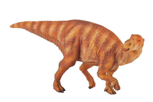 The creature is depicted in motion, turning its head as if to see what's coming up from behind. The beautifully sculpted, collectible figure from our Prehistoric Life Collection measures 5.5''L x 2''H.