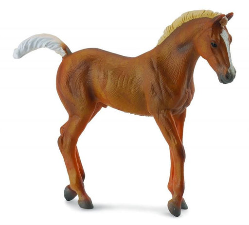 Sorrell or brown gaited young horse colt, filly