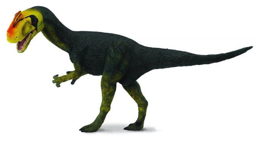 The first specimen was discovered in 1910. Some evidence suggests that this creature was an early relative of the tyrannosaurs. This beautifully sculpted, collectible figure from our Prehistoric Life Collection measures 5.9''L x 2.8''H. 