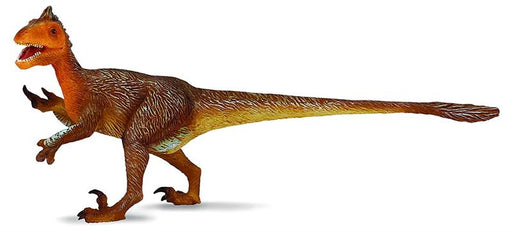 Utahraptors may have weighed one ton when fully grown. First uncovered in Utah, this dinosaur lived during the early Cretacous period, about 125 million years ago. The carnivore used its long, sickle-shaped claws to slash at its prey. This beautifully scu