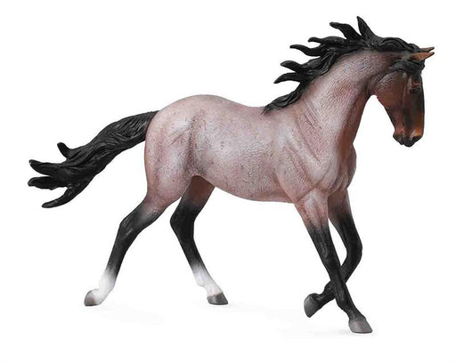 Wild American Mustang Stallion, Wild Horse, running, cantering