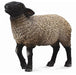 This beautiful black-faced Suffolk Sheep from CollectA is ready to join your child's make-believe farm. The sheep's curly white grey fleece and shiny hooves are so realistic and lifelike, you can almost hear the sheep bleating. The 3.7''L x 2.6''H Suffolk