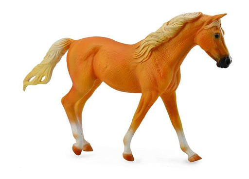 Missouri Fox Trotters are used extensively by trail riders, who appreciate their gaits, stamina and weight-carrying abilities. They are also used in handicapped riding programs, and their smooth gait has proven useful for riders with minor physical disabi