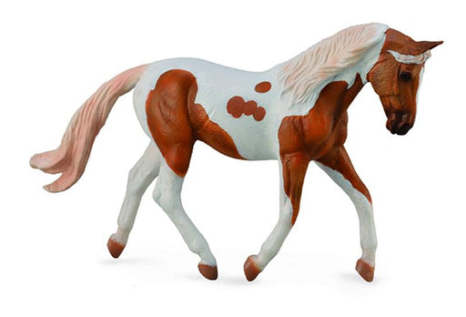 trotting or jogging paint horse