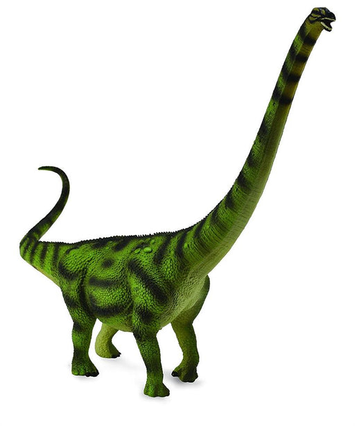 A huge tyrannosaur dinosaur with an enormously long neck. Its body may have been protected by a scatter bone armored platesThe Daxiatitan measures 10.3" L x 8.2" H and has all the key features of a titanic titanosaur: an very small head atop an extremely.
