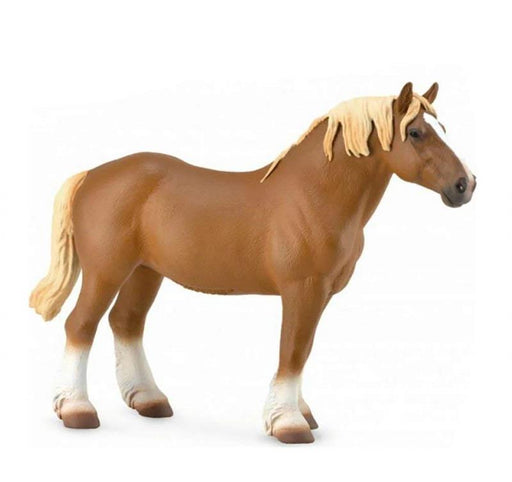The Belgian is known for it's kind temperament and is easy to handle. They are still used for all manner of draft work, including plowing, logging, pulling carriages, hitches and sleighs. This pretty standing mare, complete with a flaxen mane and tail, fi