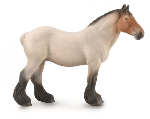 The Dutch Draft horse originated in Holland after the first World War. It is a massive horse with a calm disposition. Originally bred for agricultural work, they are also used for driving, riding, and the traditional game of ring riding.