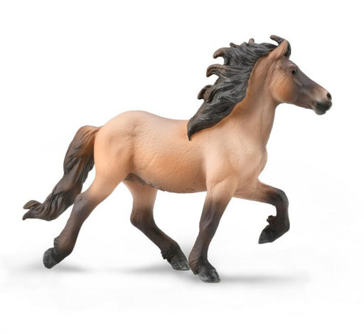 The Icelandic Horse of Iceland is prized as a riding horse for its unique, smooth gaits known as the tolt and flying pace. 