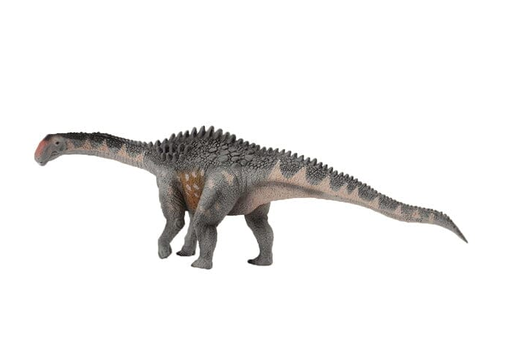 The Ampelosaurus was a heavily armored Titanosaur from the Upper Cretaceous period from the region now known as France .