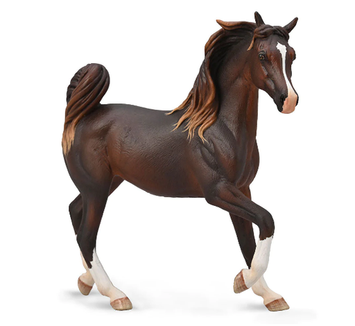 The Arabian is one of the world's oldest breeds of horse! Noted for their beauty, intelligence, and loyalty, Arabians are also known for their stamina and success at endurance riding. Most Arabians have a natural tendency to cooperate with humans.
