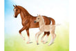 Warmbloods are a group of middle-weight sporthorses known for their graceful movements and elegant body types. Originating primarily in Europe, Warmblood breeds are prized for their ability to excel in equestrian sports. The most popular sports for Warmbl