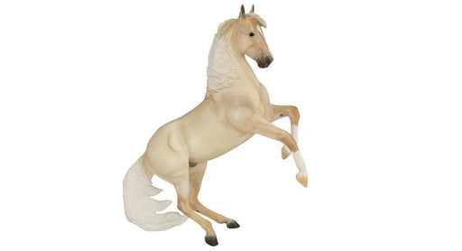 Cloud, a palomino Mustang whose life was chronicled in the 2001 Nature documentary Cloud: Wild Stallion of the Rockies, was born in the Pryor Mountains of Montana on May 29, 1995