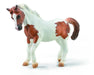 The Chincoteague Pony comes from Assateague Island, which is off of the Virginia and Maryland coasts. These sturdy and often colorful ponies have been roaming free on the island for hundreds for years, and have inspired generations of horse lovers.