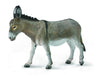 Donkeys closely resemble horses and zebras, but their specific physical characteristics set them apart from their close relatives. Donkeys tend to be smaller than most horses, and their ears are typically much longer than those of horses.
