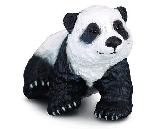Giant pandas have a gestation period from 95 to 160 days, and give birth to twins in about half of the pregnancies. The father has no part in helping raise the cub.