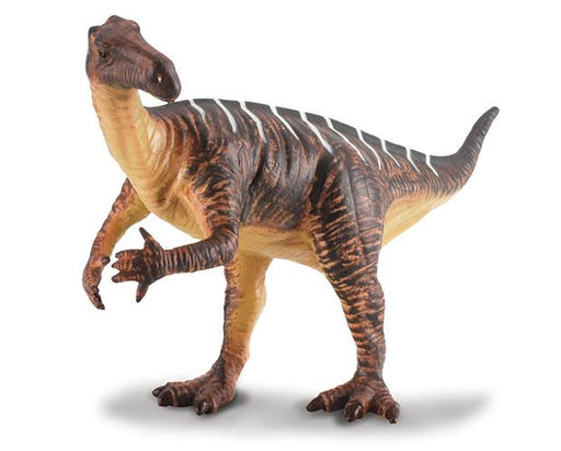 The Iguanodon was an herbivorous dinosaur from the Lower Cretaceous period. It's name means Iguana Tooth. The hands of the Iguanodon were very unusual. Distinctive features included large thumb spikes, which were possibly used for defense against predator