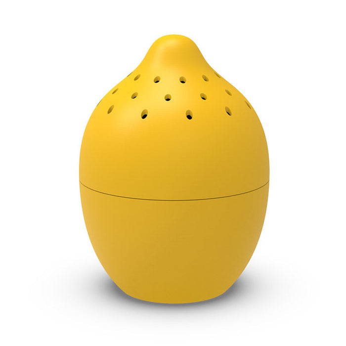 Lemon Lime Fridge & Freezer Fresheners
