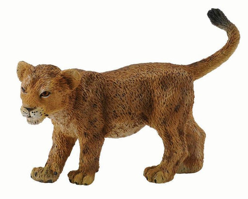 Lion cubs are born blind  their eyes open around seven days after birth. They weigh 2.64.6 lbs at birth and are almost helpless, beginning to crawl a day or two after birth and walking around three weeks of age.