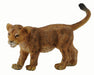 Lion cubs are born blind  their eyes open around seven days after birth. They weigh 2.64.6 lbs at birth and are almost helpless, beginning to crawl a day or two after birth and walking around three weeks of age.