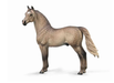 Breyer Horses Corral Pal Silver Grulla Morgan Stallion Toy Figurine #88979