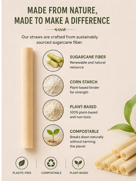 The Wild Turtle Sugarcane Straws, 100 Count