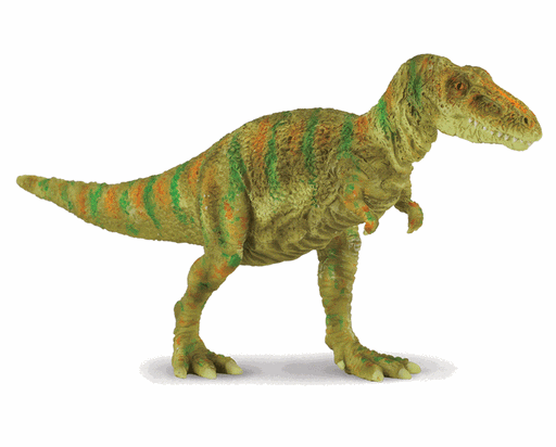 Its name means Terrible, or Alarming Lizard.