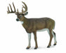 Nothing is more fascinating to a child than to explore the animal kingdom with which we share our planet. From the wildlife of North America to the domesticated farm animals, children love to play with and collect animal figurines. 